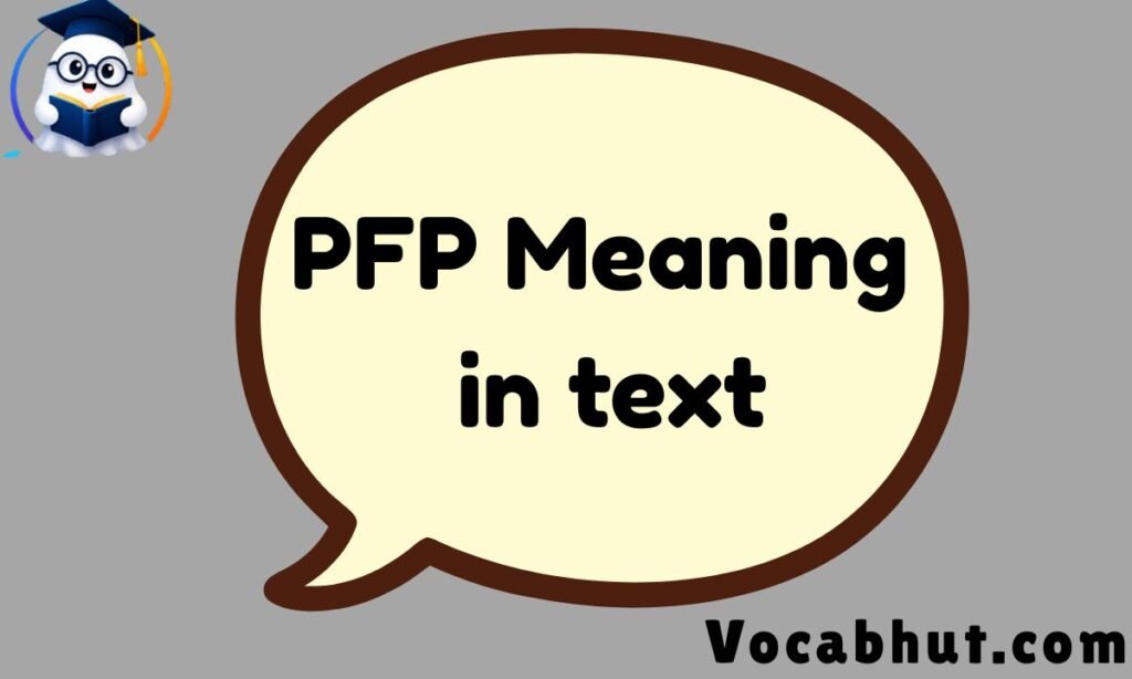 PFP Meaning in text