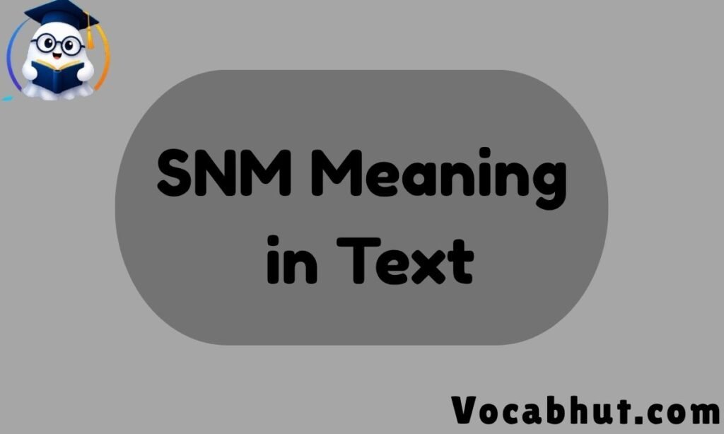 SNM Meaning in text