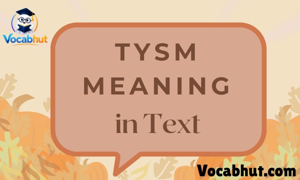 TYSM Meaning in text