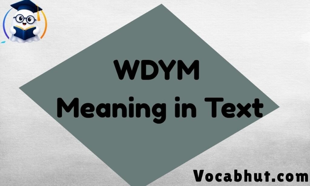 WDYM Meaning in text